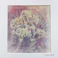 Cow Parsley - Textile transfer printed fabric with machine stitch hand stitch and beading