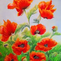  oriental poppies in acrylic