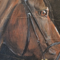 Brown horse acrylic painting by Sally Taylor