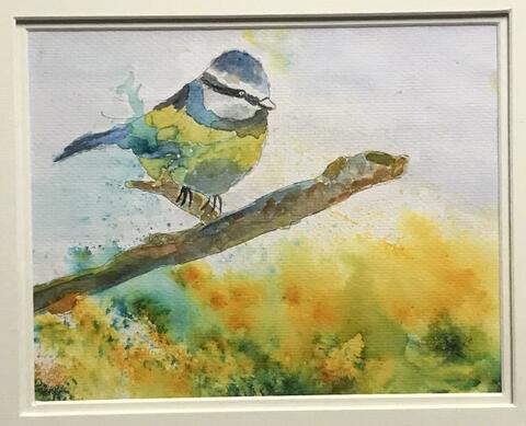 Brusho and watercolour blue tit