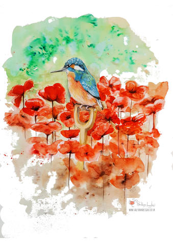 Kingfisher and Poppies  Gouache on mixed media paper  A3 (42 x 29cm portrait)  £150
