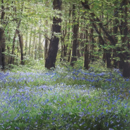 Heartwood forest, bluebells, oil painting