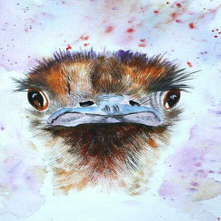Bright, fun face of an Ostrich in Watercolour