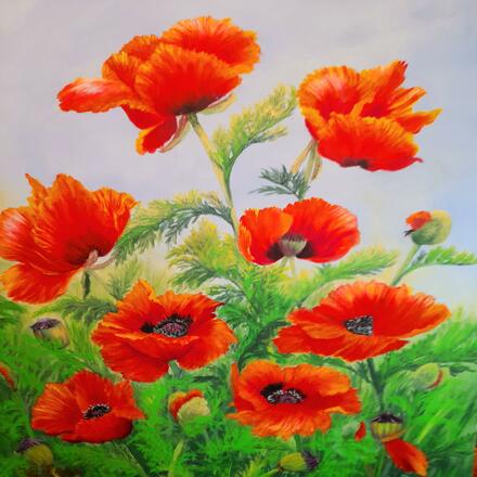  oriental poppies in acrylic