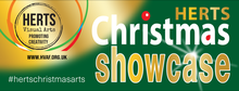 HVAF launches their Christmas Showcase online exhibition event
