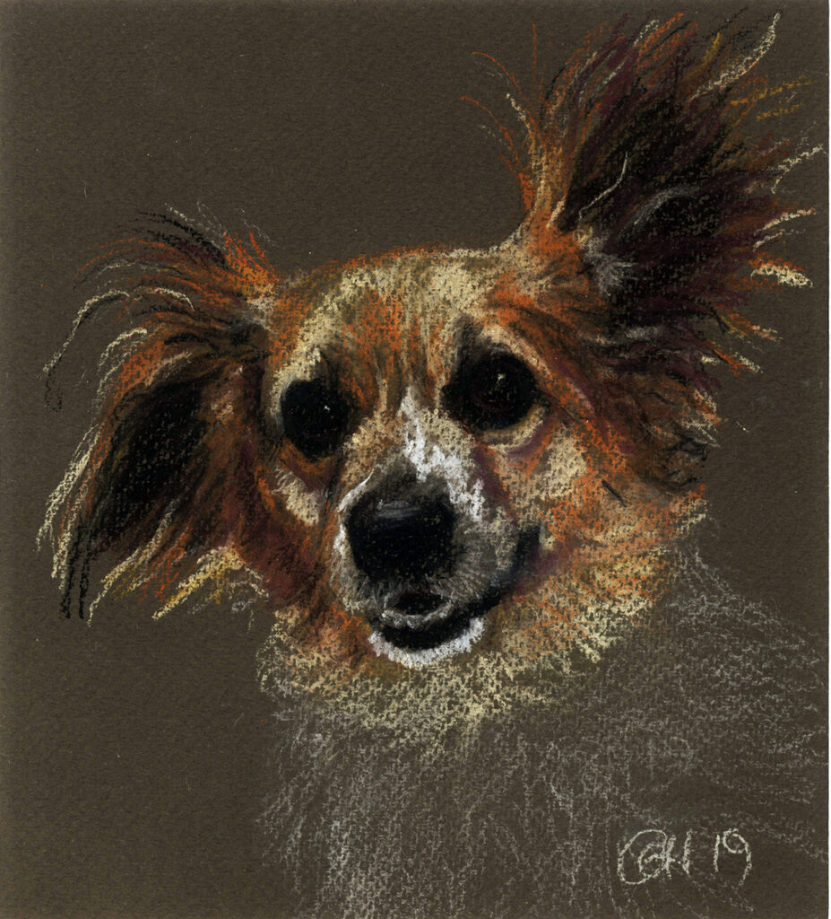 Happy dog portrait commission