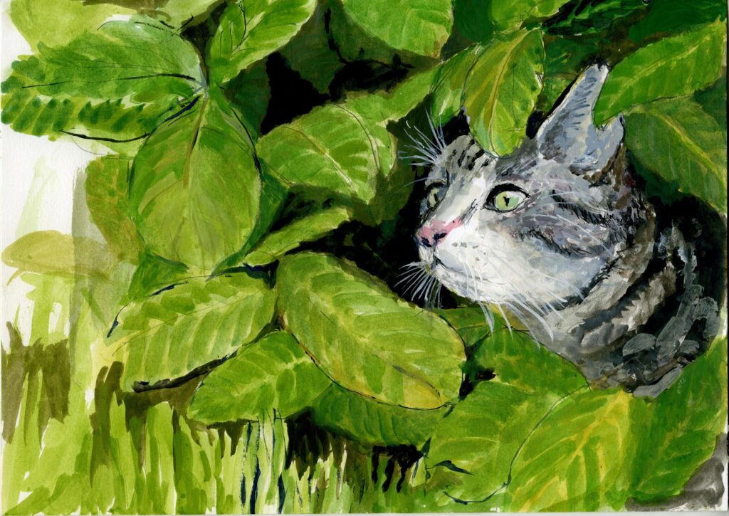 Barrett the cat.. illustraton for a poem - Inktense