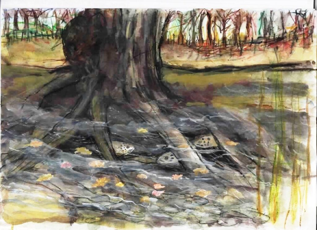 hibernating trout under the roots of the alder tree - Ink Tense