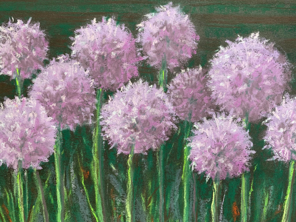 Purple Alliums. Pastel on Paper.