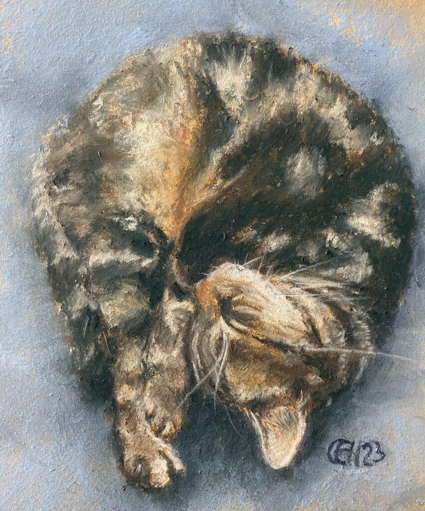 Sleeping tabby cat. Pastel on prepared card