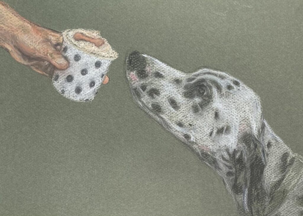 Spotted. Dalmatian and puppachino