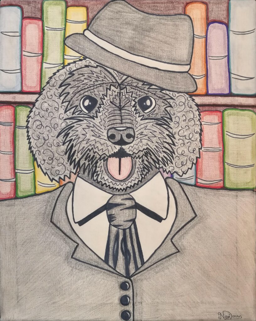 img202102081154172 Mr Cockapoo In The School