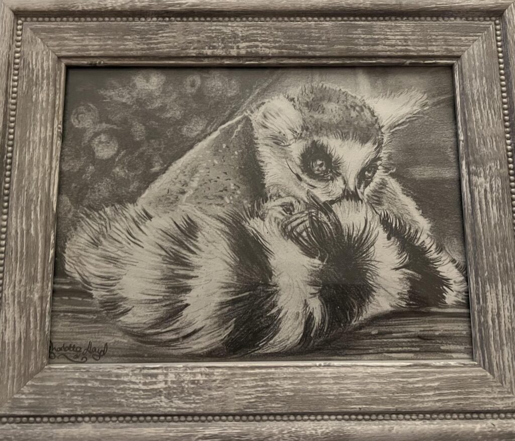 Graphite pencil study