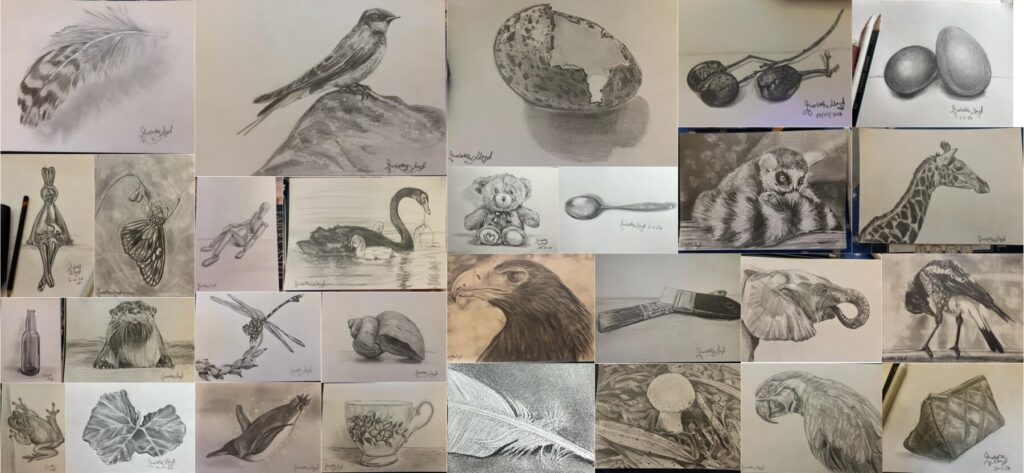 Graphite pencil sketches