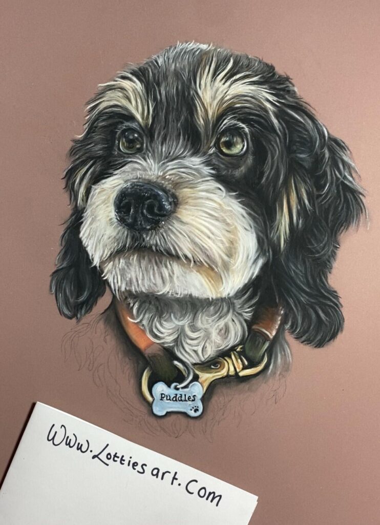 Pastel pencil commission 