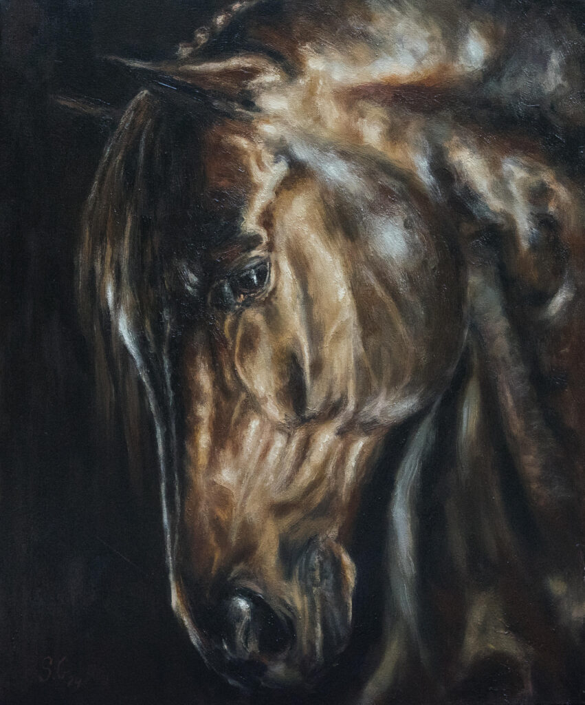 Horse Portrait in Oils, 2024