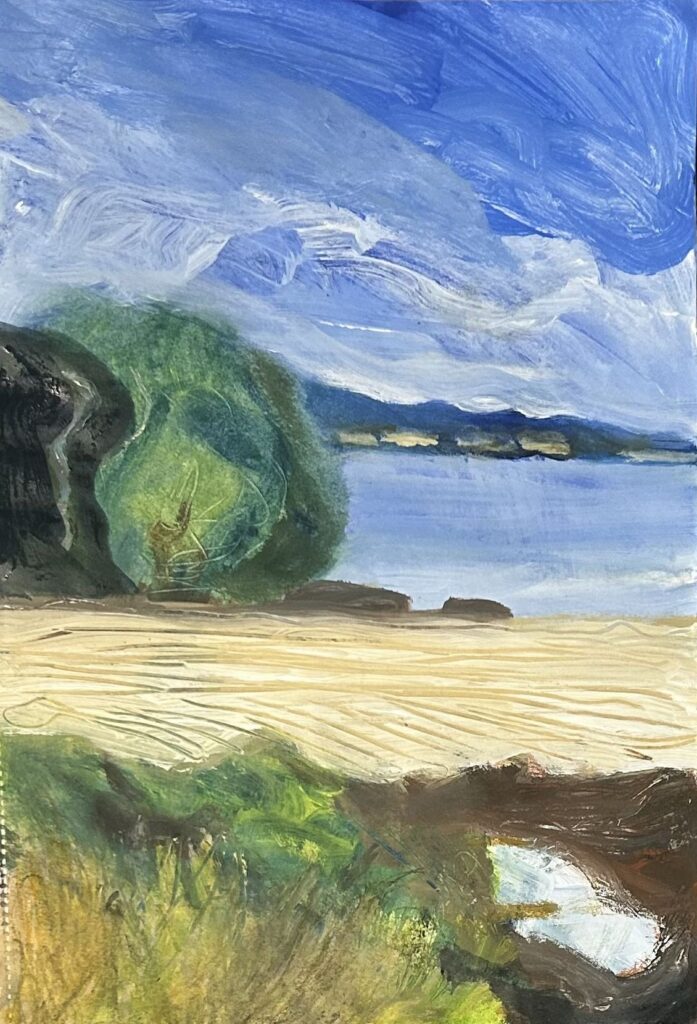 Field-and-view-to-the-Firth