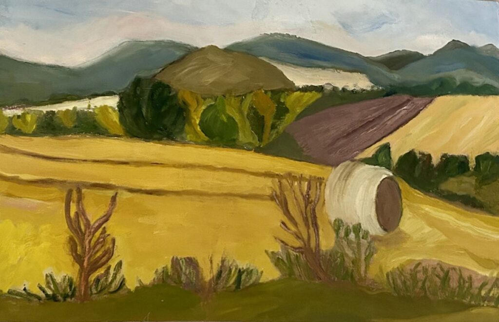 Fields-in-the-Scottish-Highlands