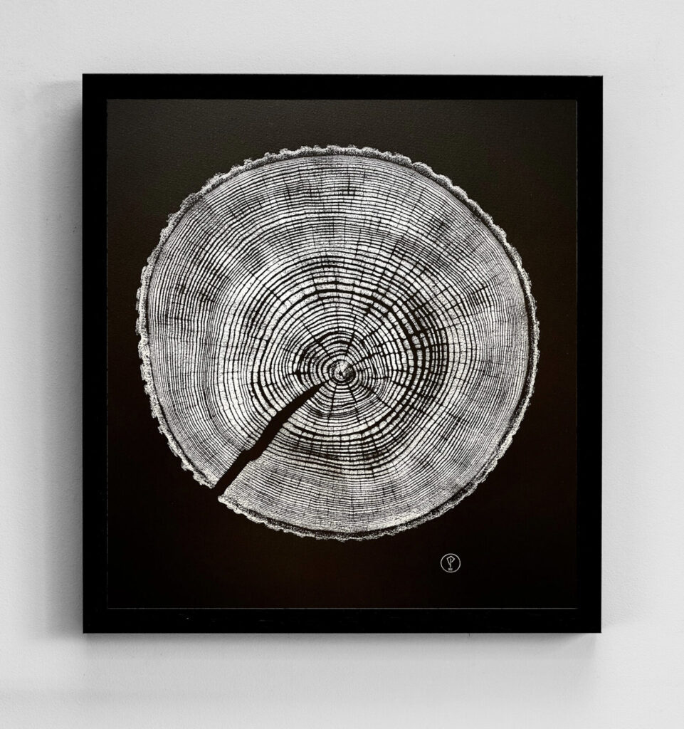 Tree ring print