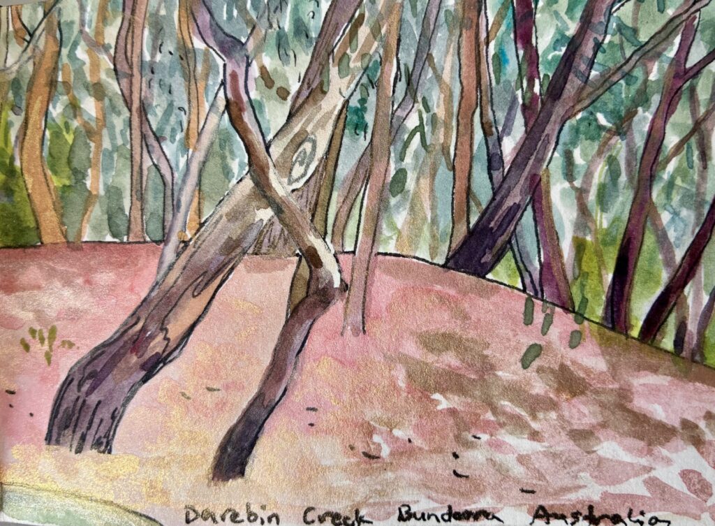 Australian trees pink ground