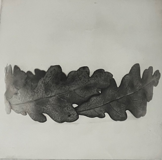 Photo etching of an object from Steven Long’s collection from the 