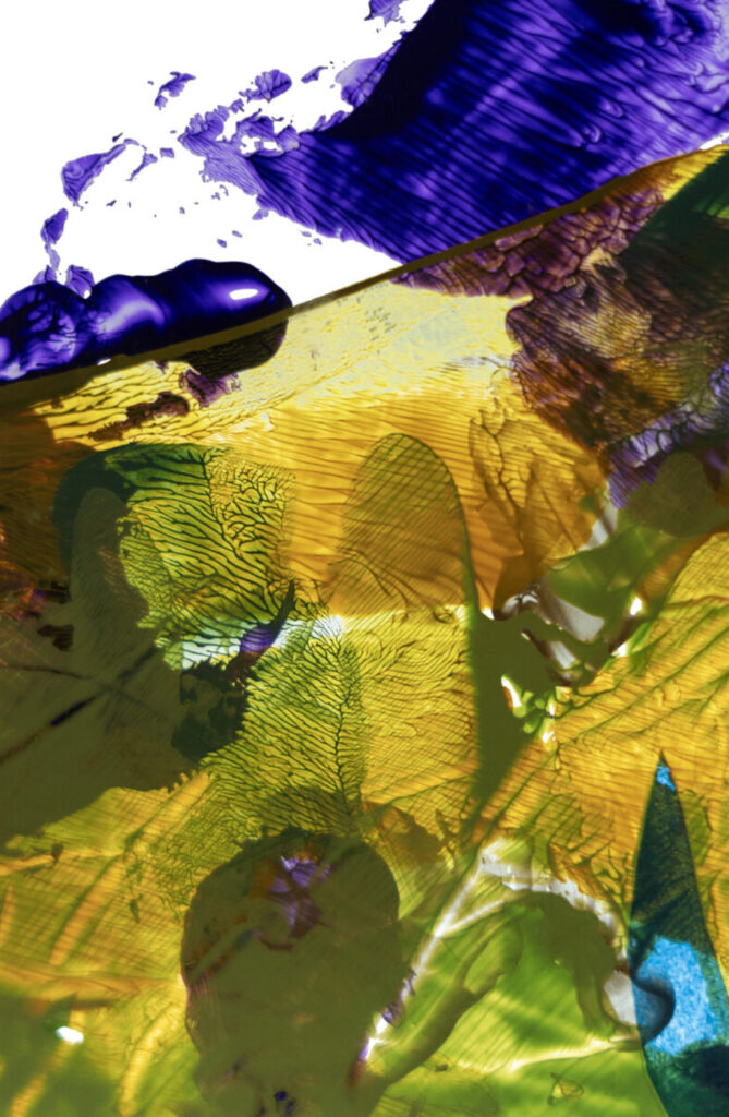 Layers of vibrant, interwoven textures, flowing together in an organic, chaotic dance of colour and form.