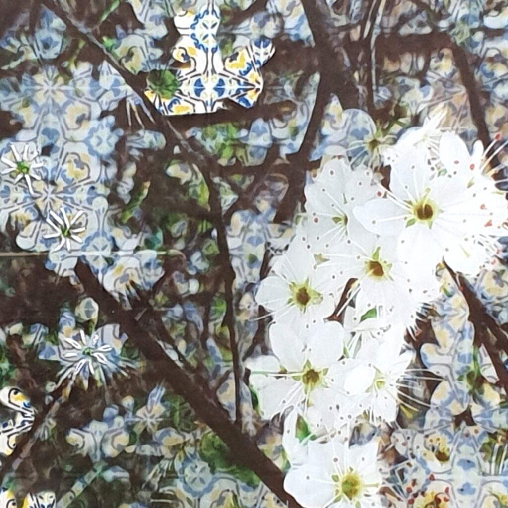 Translucent flowers layered over Portuguese colonial tiles, with cuts and embroidery.