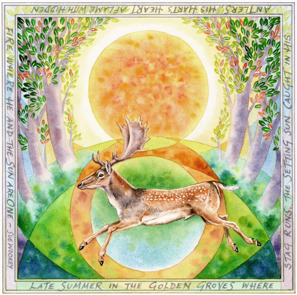 Fallow Summer by Sue Wookey