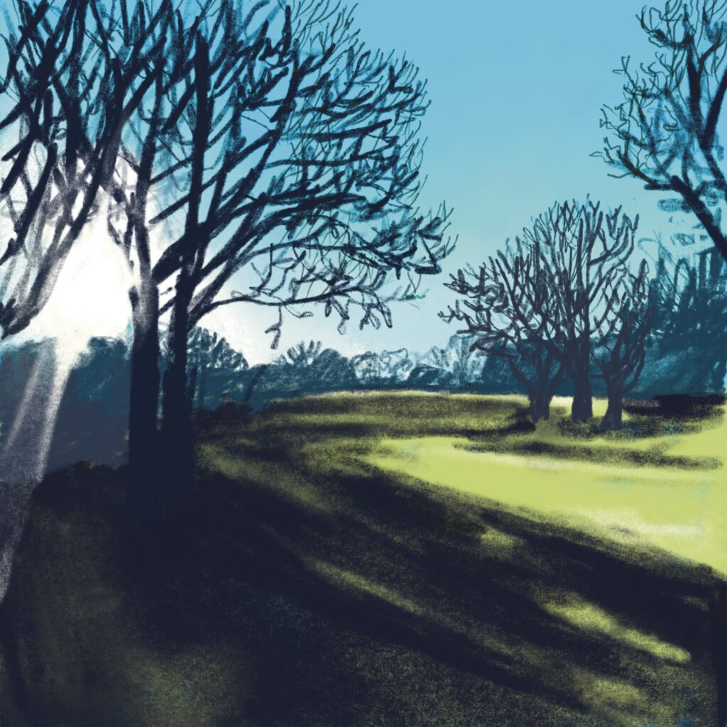 tree silhouetted on Harpenden Golf Course in the winter sun, in strong graphic style, by Kat Kerr