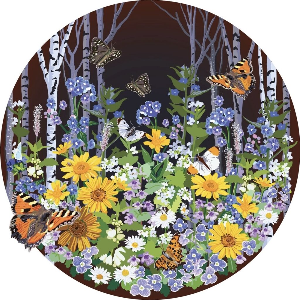 Digital collage from my drawings and observations of wild flowers