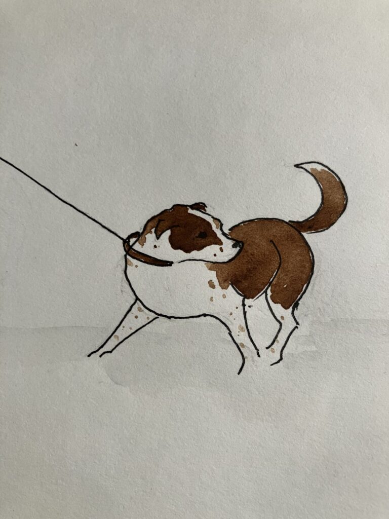 Dog on lead