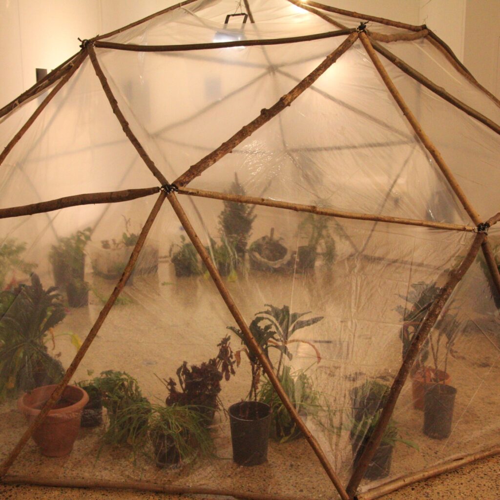 photograph of a geodesic dome installation inside an exhibition space. Inside the dome are live edible plants. This is an interactive space
