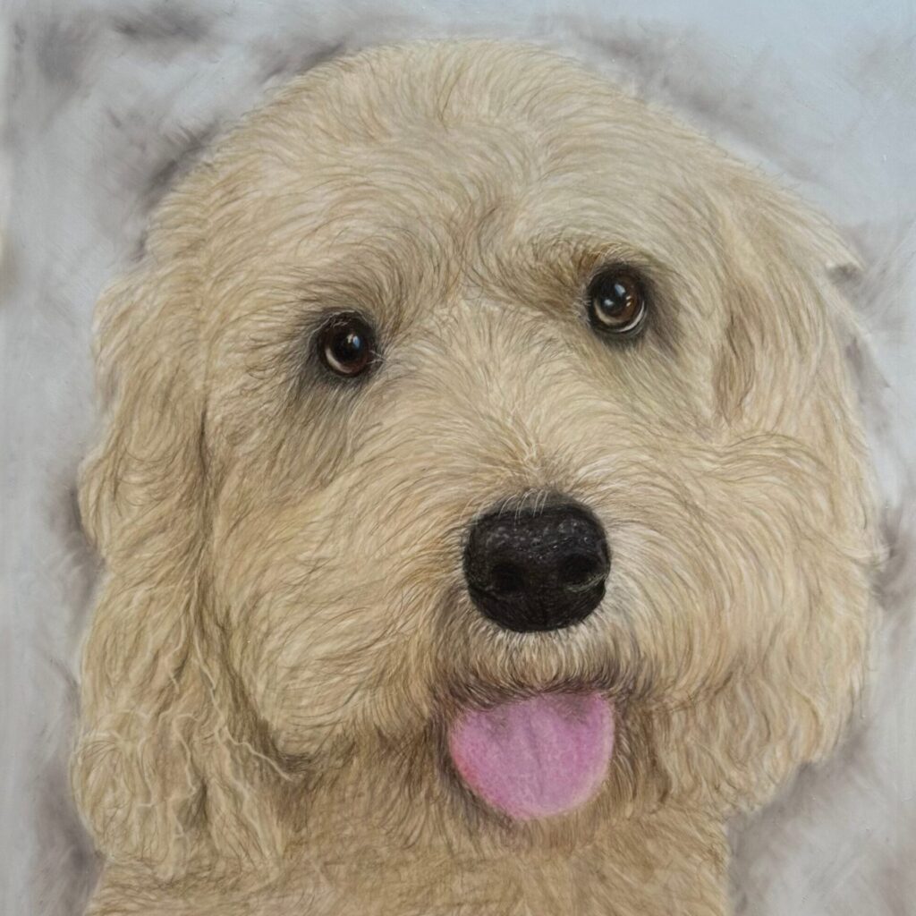 Alfie the Cockapoo, Pet Portrait