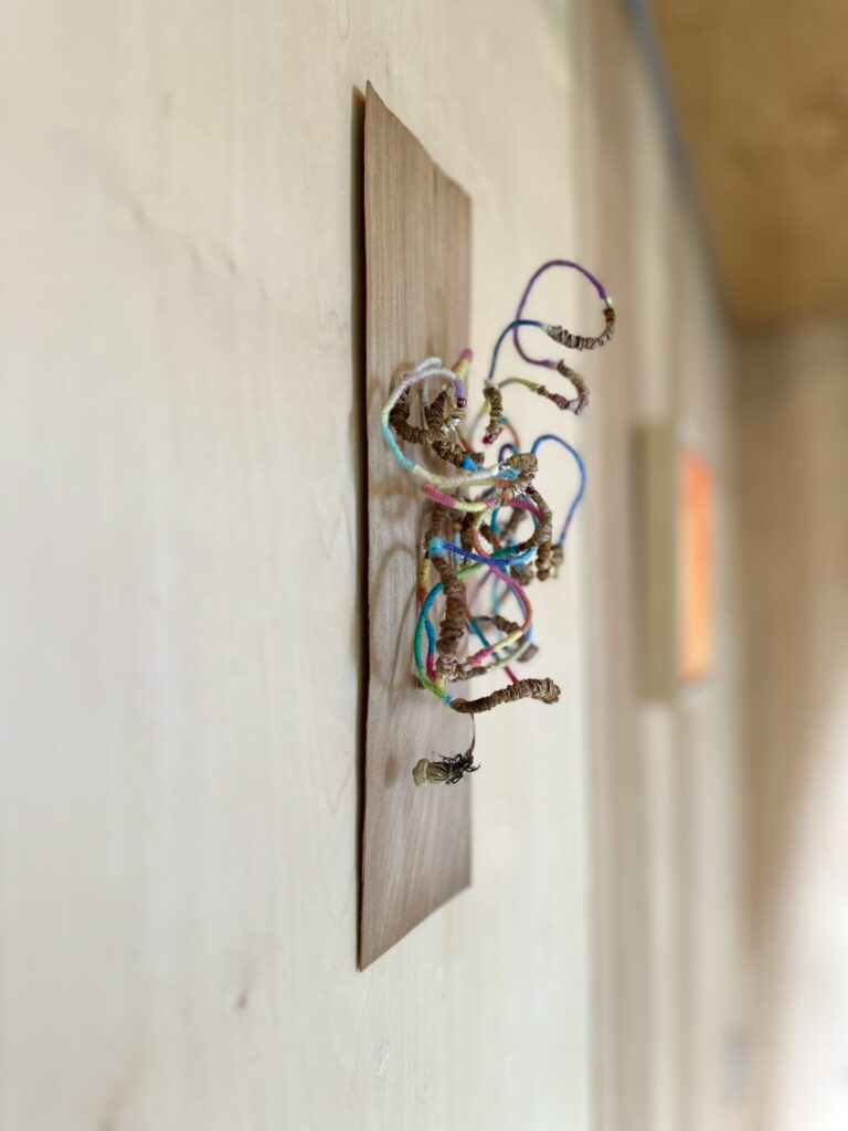 IzaNezTheSubstanceOfColourExhibition26